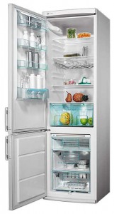 Refrigerator Electrolux ENB 3840 larawan pagsusuri