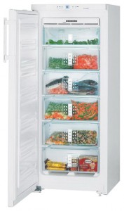 Refrigerator Liebherr GNP 2356 larawan pagsusuri