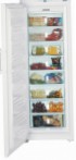 лучшая Liebherr GNP 4166 Холодильник обзор