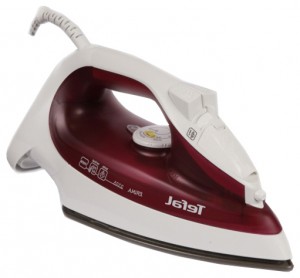 Smoothing Iron Tefal FV2325 Photo review