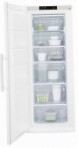 tốt nhất Electrolux EUF 2241 AOW Tủ lạnh kiểm tra lại