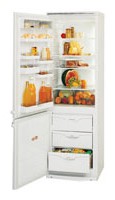 Холодильник ATLANT МХМ 1804-21 Фото обзор