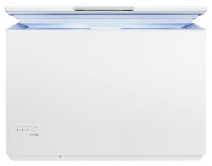 Tủ lạnh Electrolux EC 2233 AOW ảnh kiểm tra lại