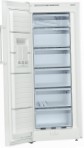 pinakamahusay Bosch GSV24VW31 Refrigerator pagsusuri